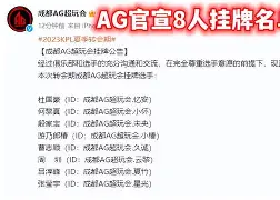 20252026赛季英超转会最新全一览 20252026赛季英超转会最新全一览